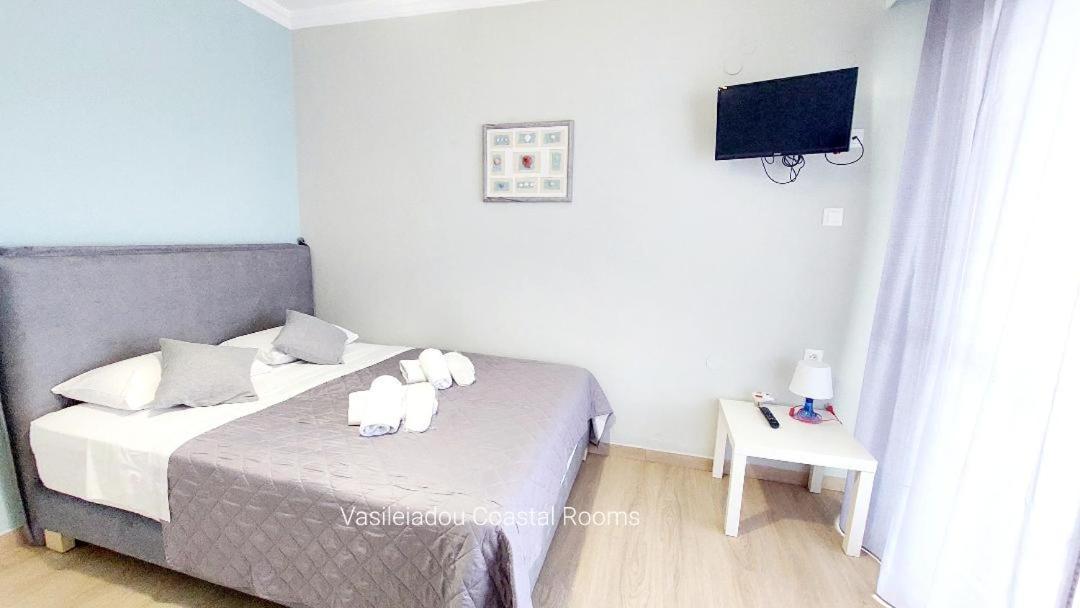 Vasileiadou Coastal Apartment Flogita
